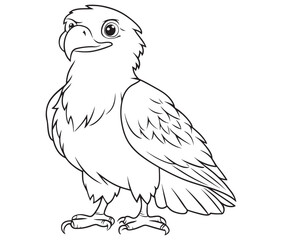 Illustration of an eagle, Hawk vector, Outline eagle vector