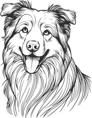 hand-drawn portrait of an Australian Shepherd in engraving style