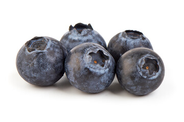 Forest blueberries, isolated on white background