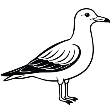 recommend clip art: Seagull Bird Vector Illustration.