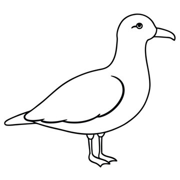 recommend clip art: Seagull Bird Vector Illustration.