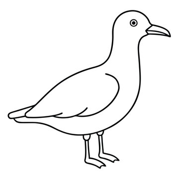 recommend clip art: Seagull Bird Vector Illustration.