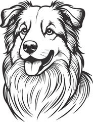 hand-drawn portrait of an Australian Shepherd in engraving style