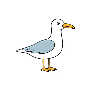 recommend clip art: Seagull Bird Vector Illustration.