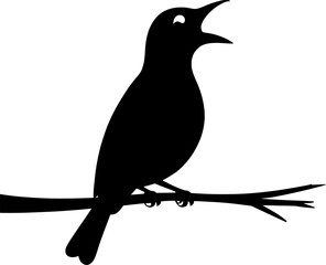 Bird silhouette Victor illustration with white background 
