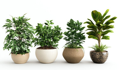 Fototapeta premium potted plants, green leaves, white background, various types of houseplants in the foreground