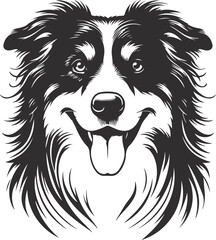 Naklejka premium Australian Shepherd silhouette, illustration white background