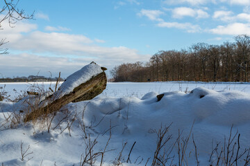 View of a snow-covered field on a beautiful winter day