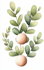 A beautiful illustration of green leaves and round fruits, perfect for nature-themed projects and organic design.