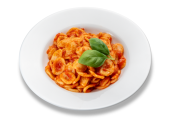 Orecchiette pasta with tomato sauce and basil leaves in white dish isolated , orecchiette typical Italian pasta from Puglia