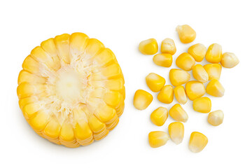 ear of corn isolated on a white background with full depth of field. Top view. Flat lay