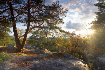 Franchard Gorges sunset in fontainebleau forest