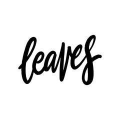 An elegant and stylish handwritten typography design featuring beautiful leaves and unique elements
