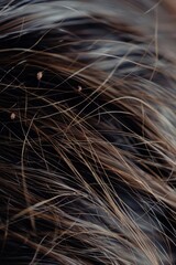 A close-up of hair follicles in the process of falling out, with visible gaps in the hairline, capturing the biology of hair loss, natural process, fine detail