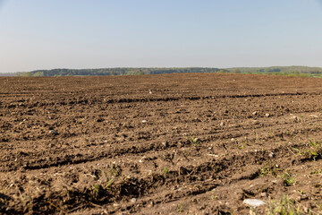 fertile soil in spring during the preparation for sowing