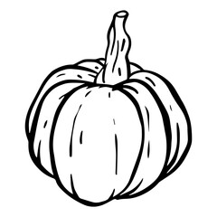 A HandDrawn Pumpkin Illustration Perfect for Fall Seasonal Home Decor and Artwork