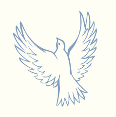 Vector drawing. Cute flying dove