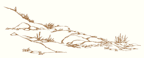 Vector drawing. Plantds grows on the stony hill