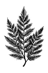 Leaves . Black and white botanical pattern. For use in graphics, materials. Abstract plant shapes. Minimalist illustration for printing on wall decorations.