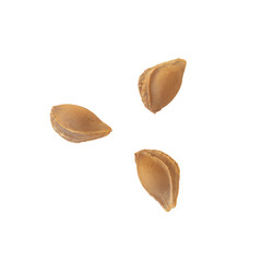 Three dry apricot nut seeds in the shell, isolated on a transparent white background, spaced at the same distance, creating a triangle. Trinity, a symbol of the balance of power, rebirth.