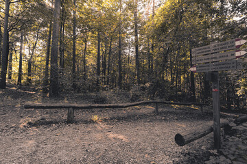 Forest landscape of Montiggl in South Tyrol.