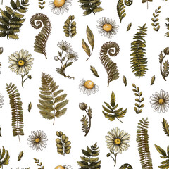 Vintage Daisy Flowers and Ferns Seamless Pattern
