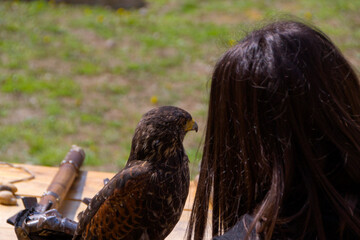 Medieval Lady in Castle with Falcon