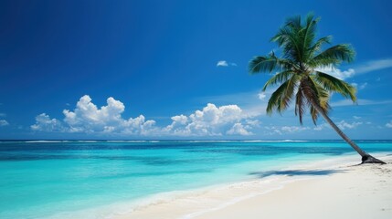 Tropical Paradise: Serene Beach with Elegant Palm Tree in Cinematic Light