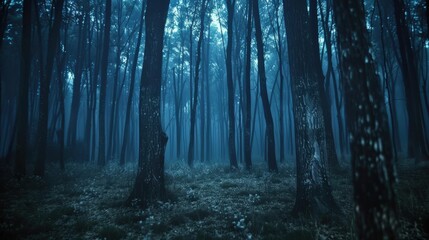 Dark forest at night, with tall trees casting long shadows. The eerie blue glow and misty atmosphere make the forest feel mysterious and ominous, evoking fear and suspense in the viewer.