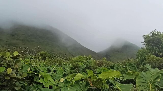 dramatic atmosphere with clouds and wind at the base of Soufriere volcano mountain in Saint Claude, Guadeloupe
