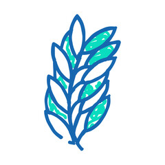 rosemary leaves doodle icon sketch vector. rosemary leaves sign. isolated symbol illustration