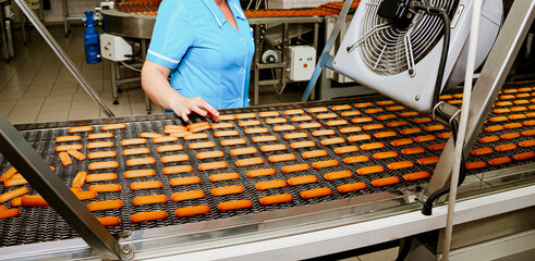 Cookie production line in a confectionery factory with workers processing fresh cookies during work hours