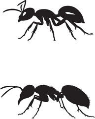 Black Insect vector icons silhouettes