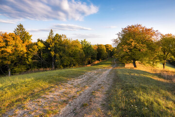 Autumn landscape in central Slovakia. Autumn landscape. Fall scenery with colored trees and leafs. Field road in the middle of autumn forest