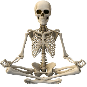 Skeleton Doing Yoga 