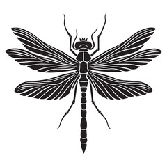 Dragonfly Vector