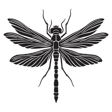 recommend clip art: Dragonfly Vector