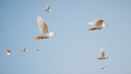 Fototapeta premium Flying white wedding doves with animal characteristics