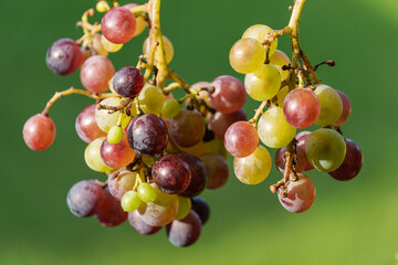 späsommer im westfälischen Weseke