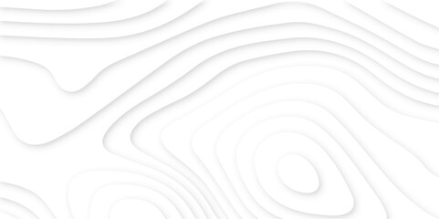 Obraz premium Abstract modern 3d Paper cut white background .white waves background ,paper art style, flyers posters prints .geometric background overlap layer. 