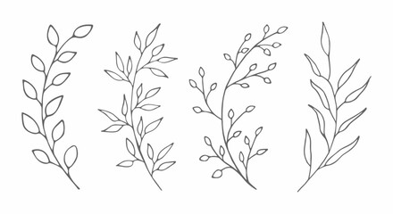 Hand-drawn clipart with branches with leaves in a minimalist line art style. Decorative botanical elements for nature-themed projects, wedding designs, or botanical art © Eugenia