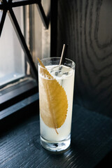 cocktail with ice, cocktail, bar, cocktail bar, specialty cocktail, beverage, drink, glass, alcohol, ice