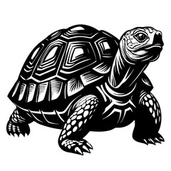 Fototapeta premium turtle on a white silhouette background Vector 