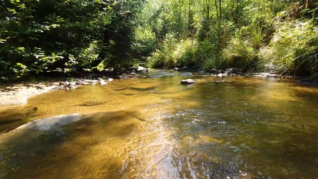flow of a mountain river between forest trees, flowing water background, clear stream. natural sound