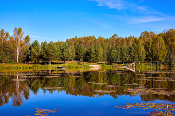 A serene river mirrors the golden hues of trees on a clear autumn day, showcasing nature’s symmetry