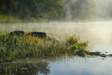 foggy morning over river in autumn with dew grass and cobwebs