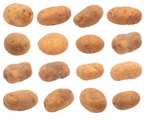potato on a transparent background PNG, set of 16 potatoes