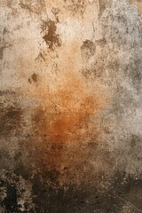 Weathered wall surface with earthy tones showcasing texture and natural wear over time