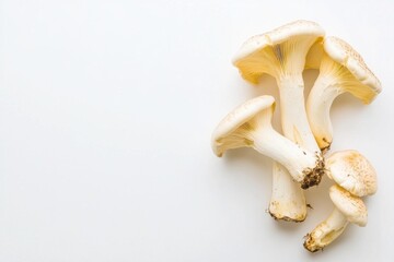 Fototapeta premium Freshly harvested white mushrooms arranged on a light surface showcasing their smooth caps and delicate gills