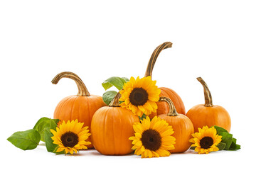 Sunflowers and Pumpkins. A vibrant arrangement of pumpkins and sunflowers on a white background